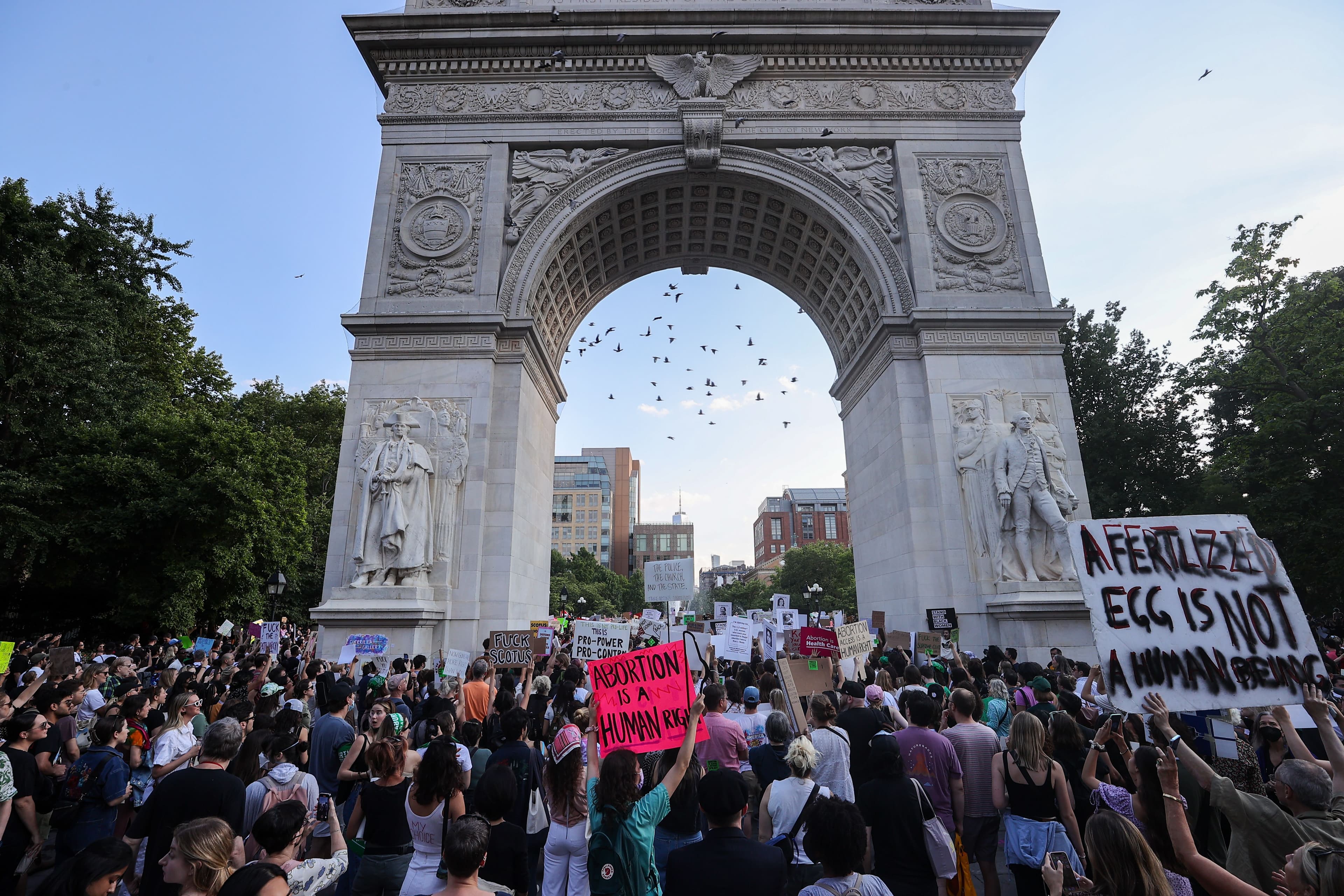 Activists in Washington Square Park