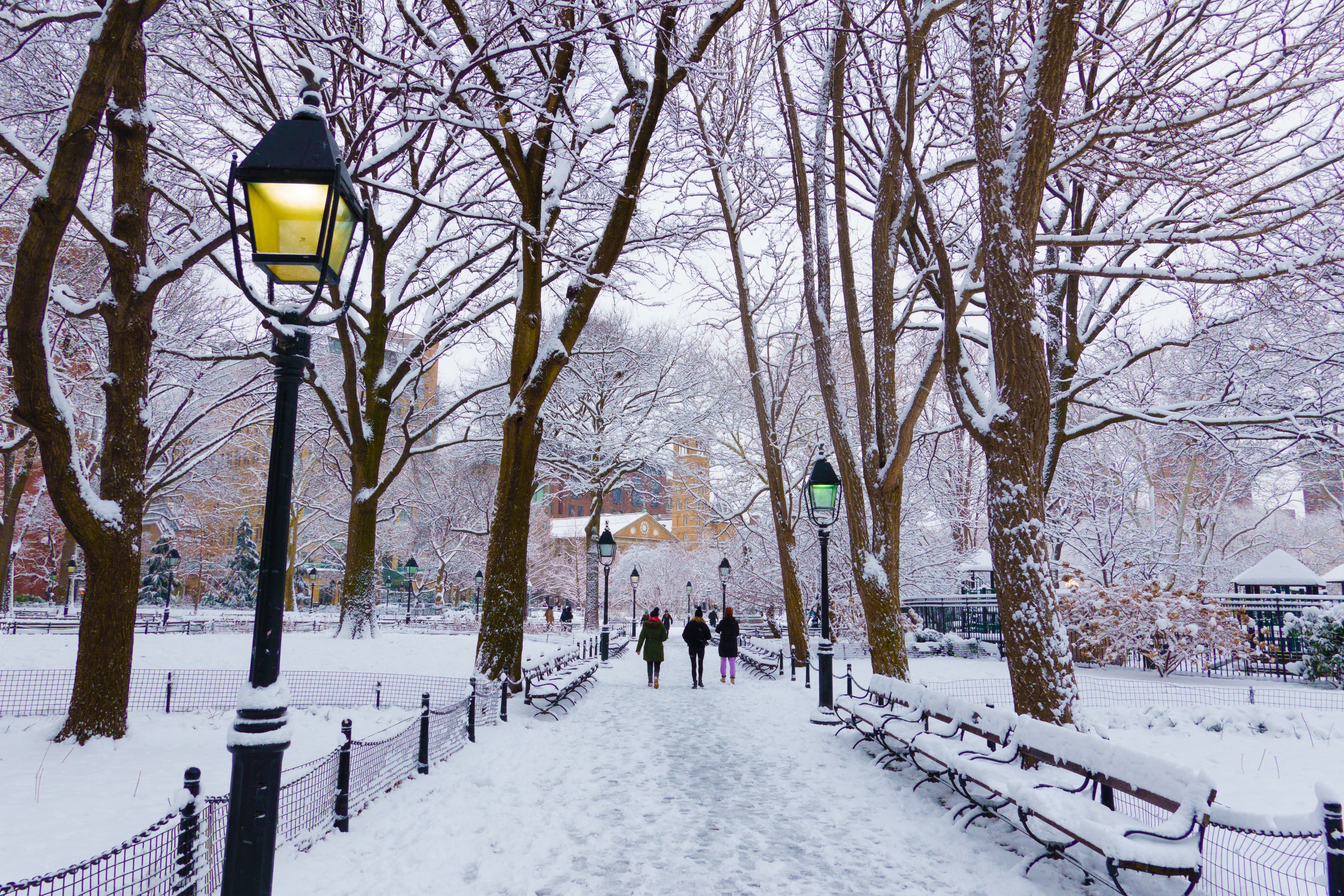 Winter in Washington Square Park