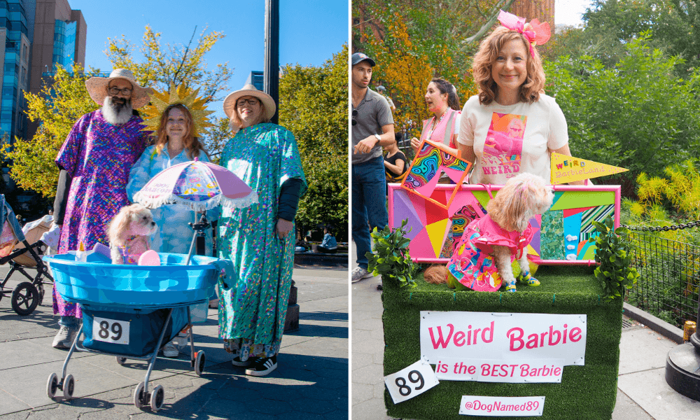 Dog owners and their dogs dressed in costumes